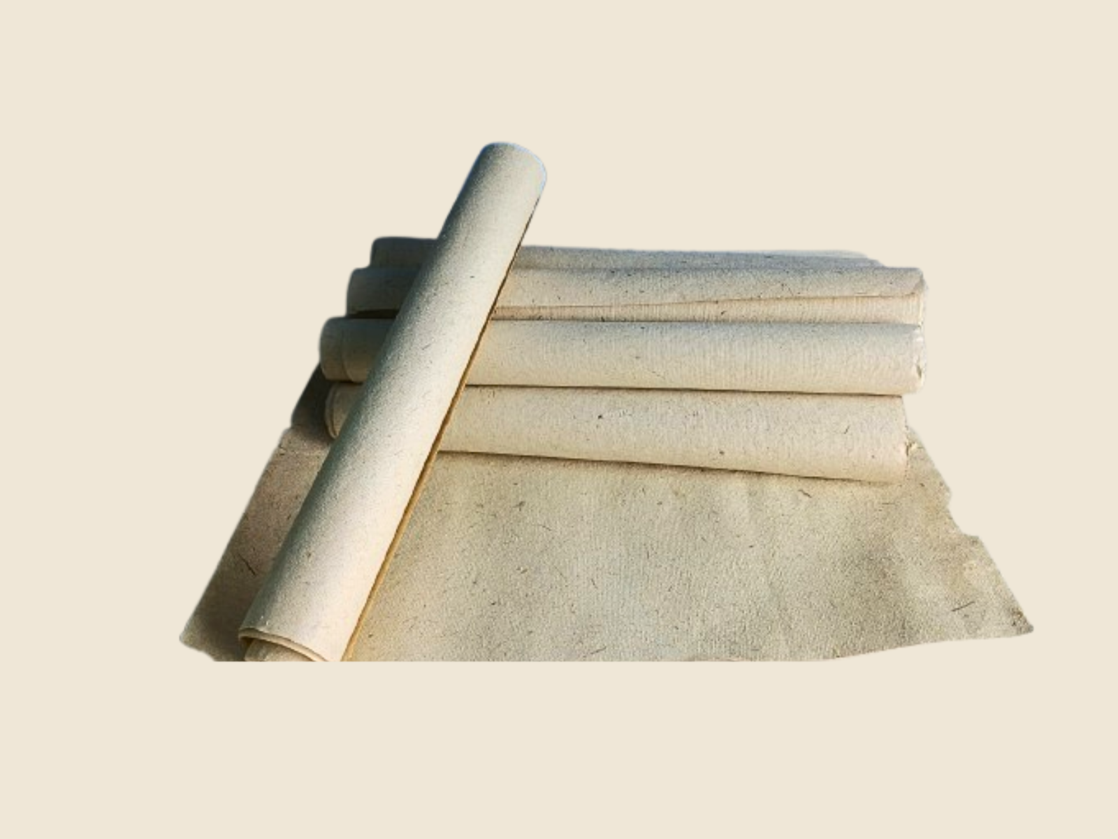 Paper Rolls